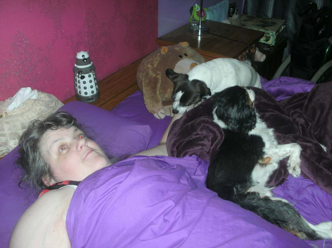 Oldylocks and the Three Chairs