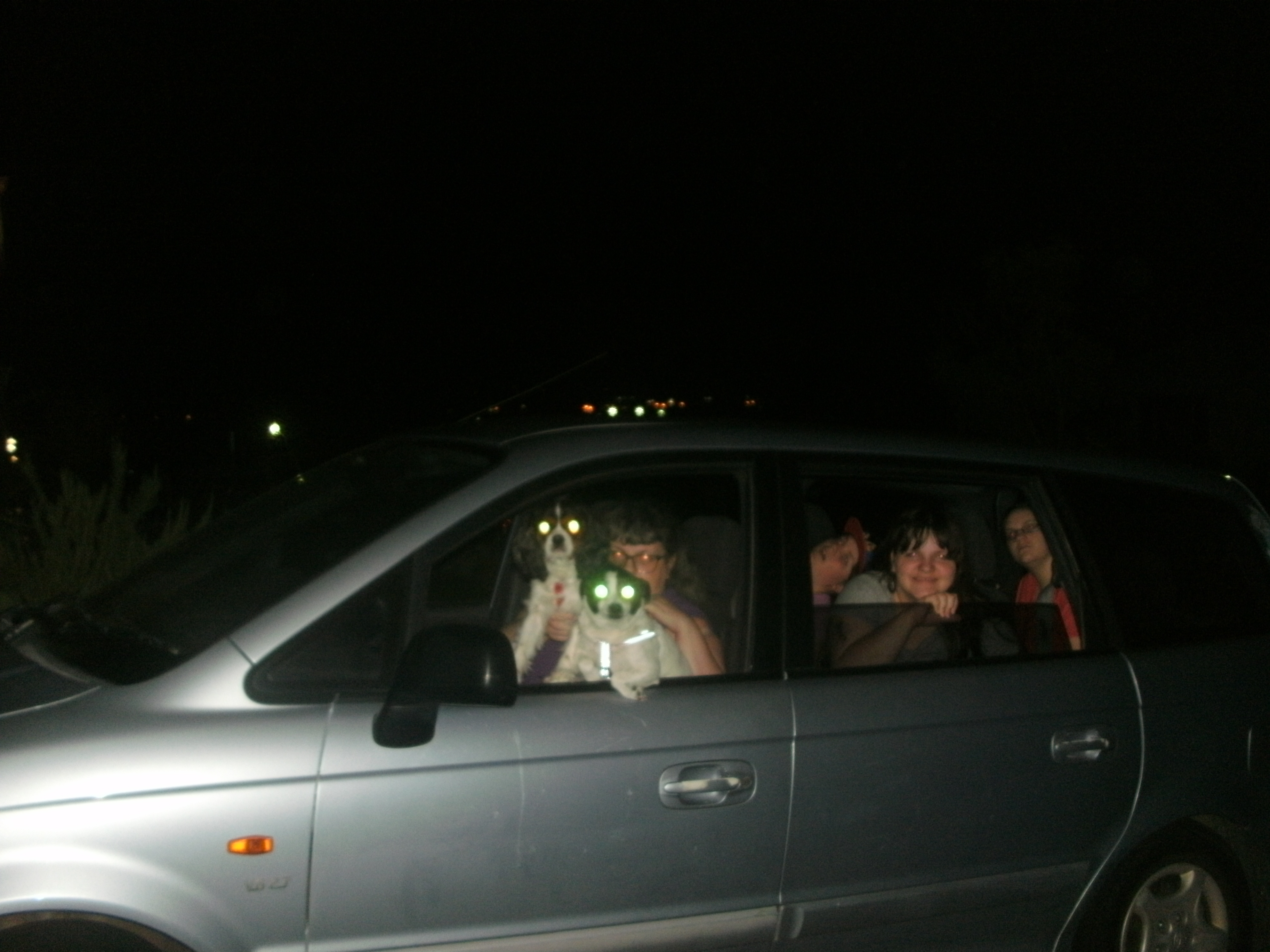 Christmas in 40*C. – Light Hunting in Perth Part 2