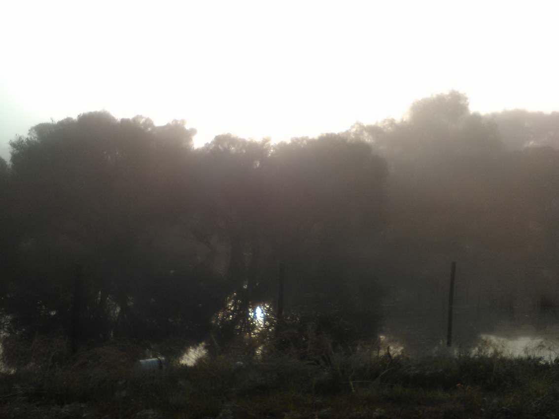 The Weather Has Gone Insane