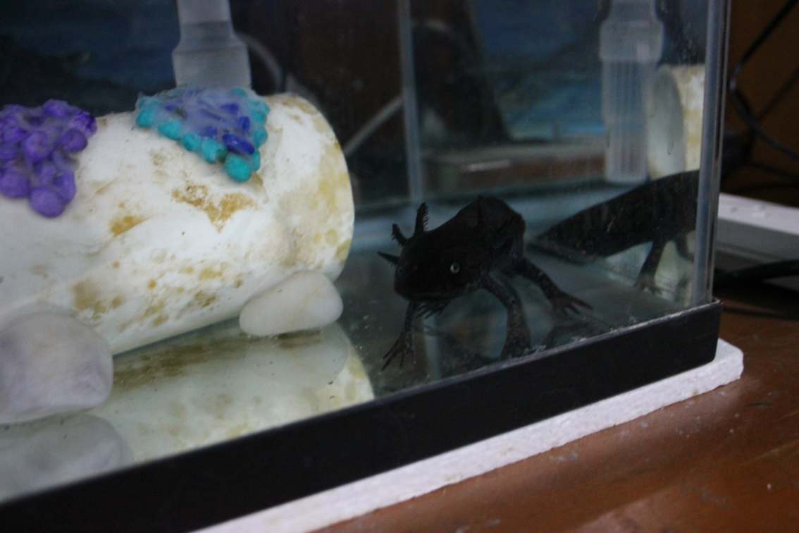 Look, I took a Photo