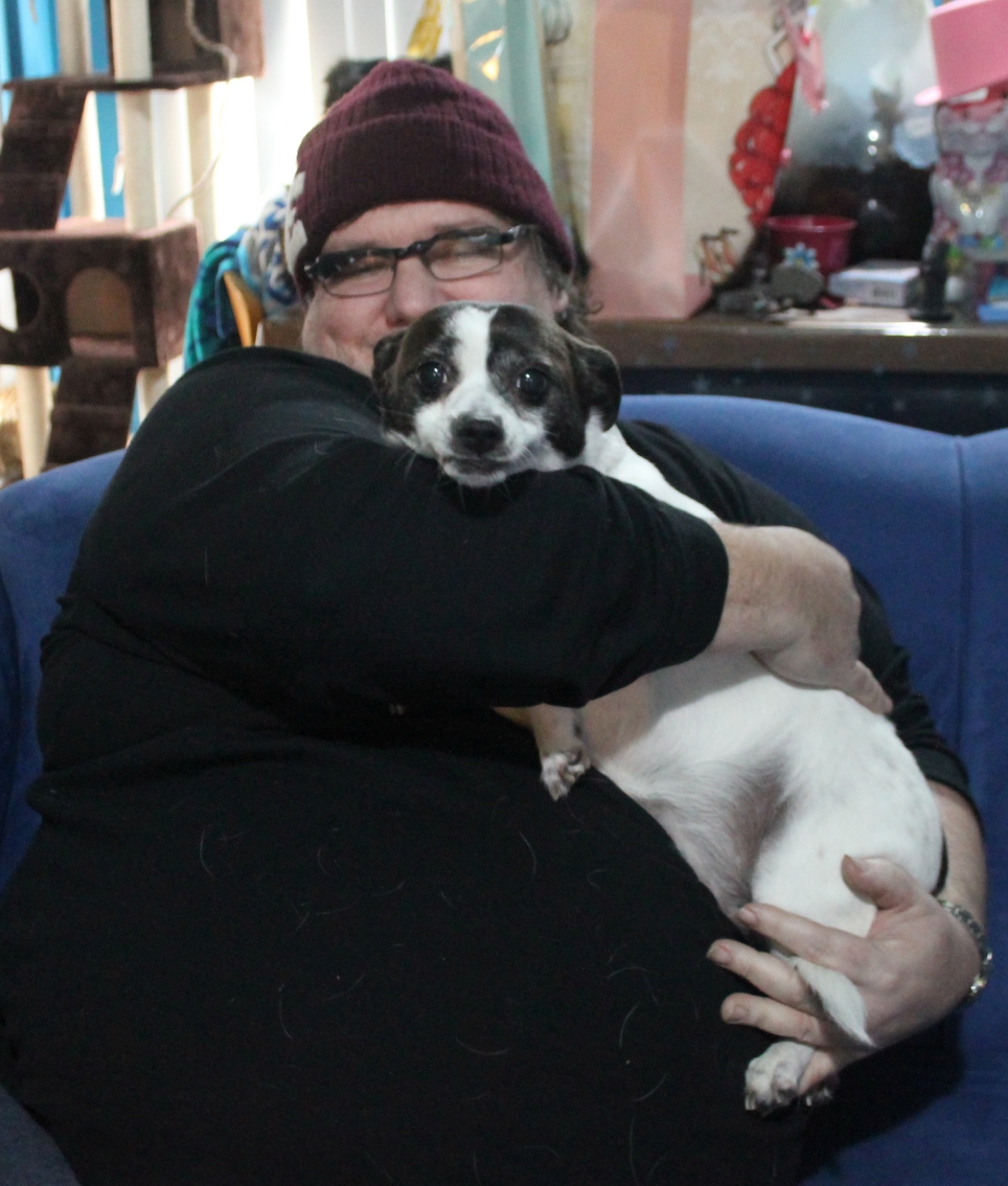 Doggie Daddy Sounds the Alarm