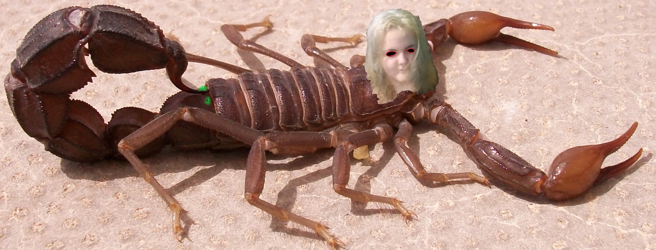 The Etiquette of the Parental Reprimand